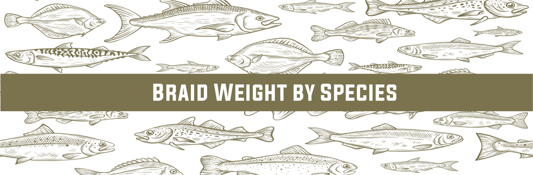 https://www.finsfishing.com/cdn/shop/articles/guide_to_braid_weight_by_species.png?v=1682347326&width=1100