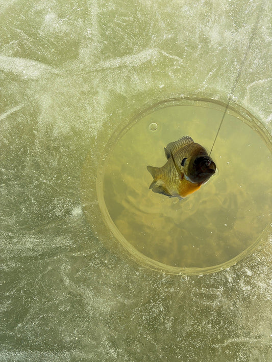 The Ultimate Guide To Successful Ice Fishing